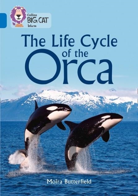 COLLINS BIG CAT - THE LIFE CYCLE OF THE ORCA | 9780008208905 | MOIRA BUTTERFIELD 