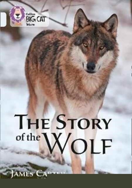 COLLINS BIG CAT - THE STORY OF THE WOLF | 9780008208967 | JAMES CARTER