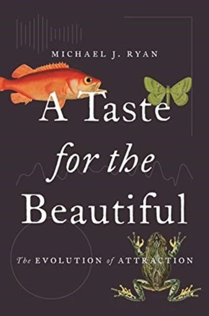 A TASTE FOR THE BEAUTIFUL | 9780691191393 | MICHAEL RYAN