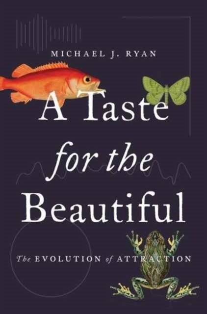 A TASTE FOR THE BEAUTIFUL | 9780691167268 | MICHAEL RYAN