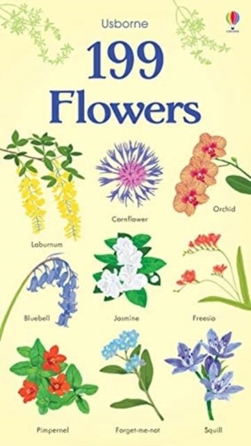 199 FLOWERS | 9781474950909 | HANNAH WATSON
