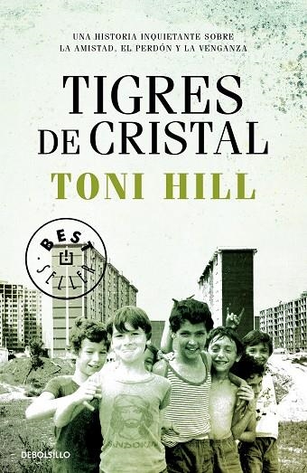 TIGRES DE CRISTAL | 9788466347204 | TONI HILL