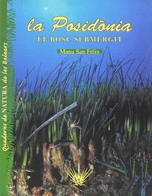 POSIDONIA. EL BOSC SUMERGIT, LA | 9788489067882 | SAN FELIX, MANU