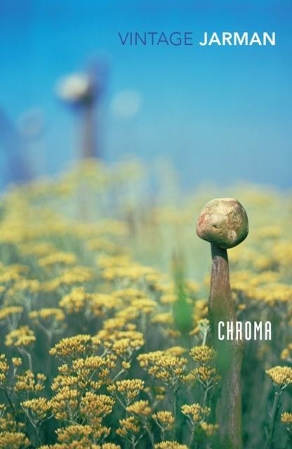 CHROMA | 9780099474913 | DEREK JARMAN