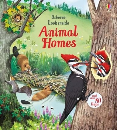 LOOK INSIDE ANIMAL HOMES | 9781474942928 | EMILY BONE