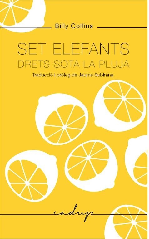 SET ELEFANTS DRETS SOTA LA PLUJA | 9788494943218 | BILLY COLLINS