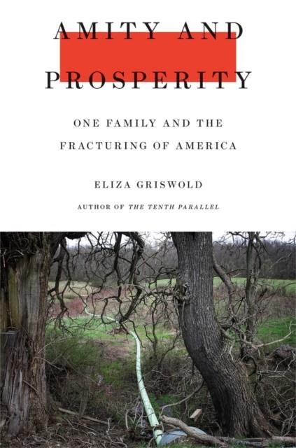 AMITY AND PROSPERITY | 9780374103118 | ELIZA GRISWOLD