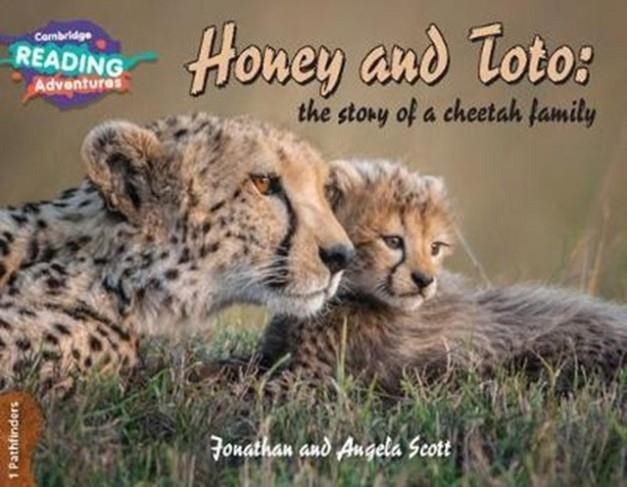 PATHFINDERS HONEY AND TOTO: THE STORY OF A CHEETAH FAMILY | 9781108436151
