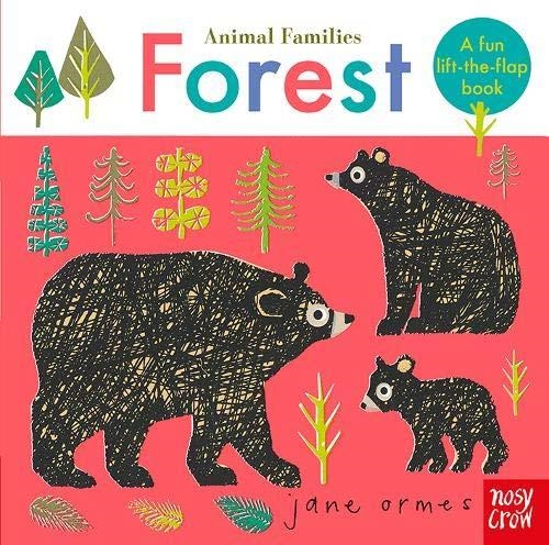 ANIMAL FAMILIES: FOREST | 9781788004589 | JANE ORMES