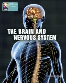 BRAIN AND NERVOUS SYSTEM 6 PACK-PYP L10 | 9780435016180