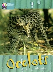 OCELOTS 6 PACK-PYP L10 | 9780435016586