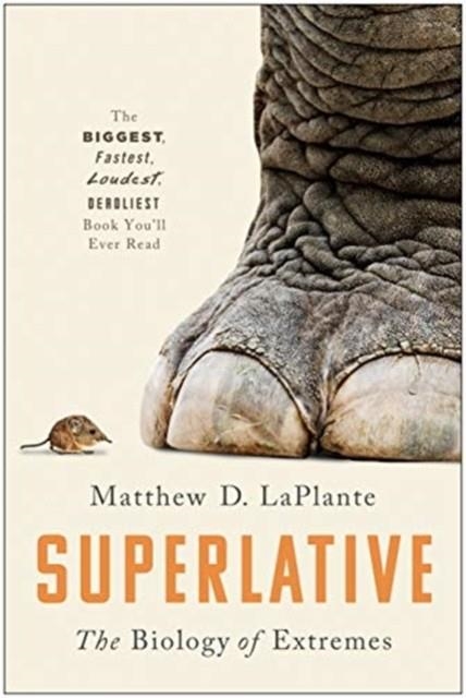 SUPERLATIVE | 9781946885944 | MATTHEW D. LAPLANTE