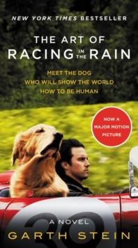 THE ART OF RACING IN THE RAIN (FILM) | 9780062370945 | GARTH STEIN