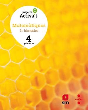4t EP MATEMÀTIQUES ACTIVA'T 19 | 9788466145848