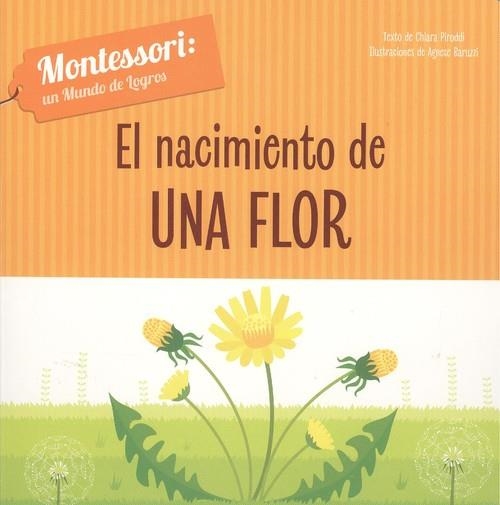 EL NACIMIENTO DE UNA FLOR (VVKIDS) | 9788468261683 | CH. PIRODDI