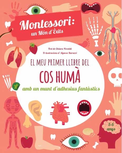 EL MEU PRIMER LLIBRE DEL COS HUMÀ (VVKIDS). CATALÀ | 9788468250052 | CH. PIRODDI