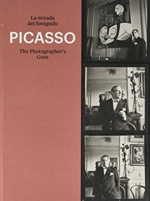 PICASSO | 9788417769154 | VARIOUS AUTHORS