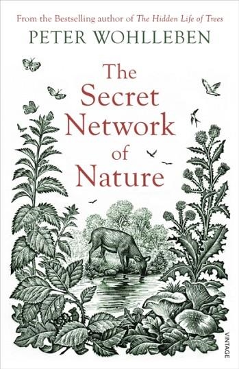 THE SECRET NETWORK OF NATURE | 9781784708498 | PETER WOHLLEBEN