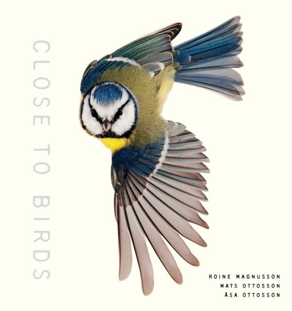 CLOSE TO BIRDS | 9781611807103 | ROINE MAGNUSSON