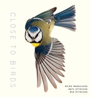 CLOSE TO BIRDS | 9781611807103 | ROINE MAGNUSSON