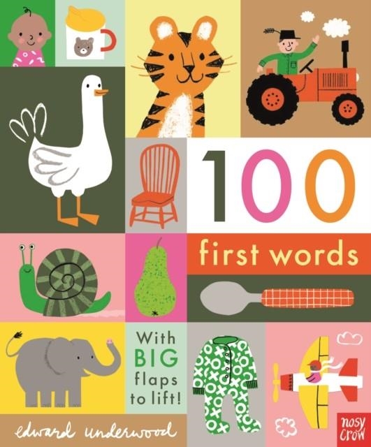 100 FIRST WORDS | 9781788004893 | NOSY CROW LTD