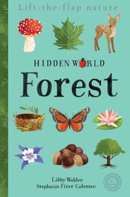 HIDDEN WORLD: FOREST | 9781848575974 | LIBBY WALDEN