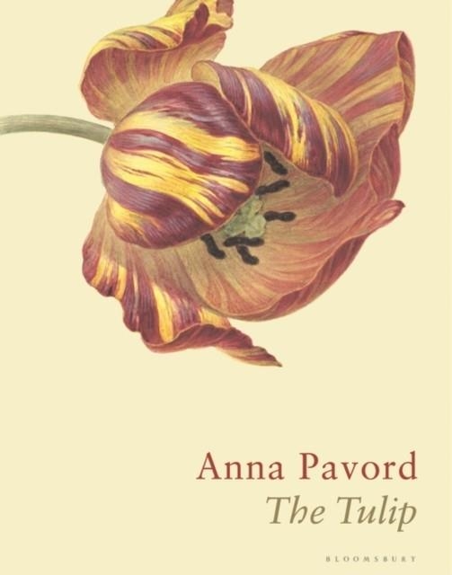 THE TULIP | 9781526602688 | ANNA PAVORD