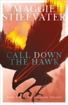 CALL DOWN THE HAWK | 9781407194462 | STIEFVATER, MAGGIE