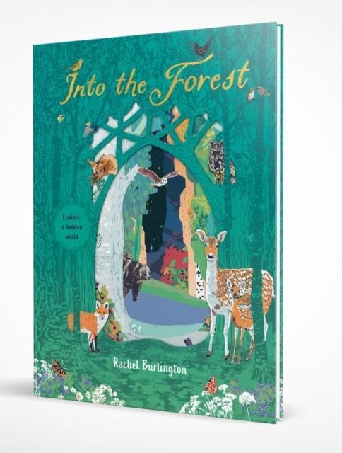 INTO THE FOREST | 9781407191164 | SCHOLASTIC