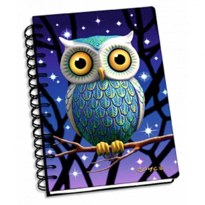 NOTEBOOK NIGHT OWL | 9421026455604