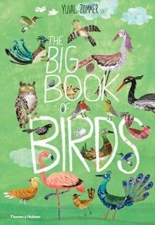 THE BIG BOOK OF BIRDS  | 9780500651513 | YUVAL ZOMMER