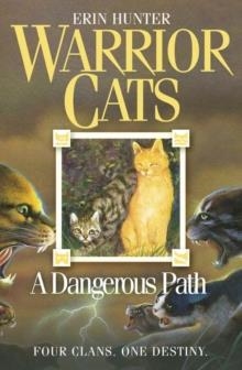 WARRIOR CATS 5: A DANGEROUS PATH | 9780007140060 | ERIN HUNTER