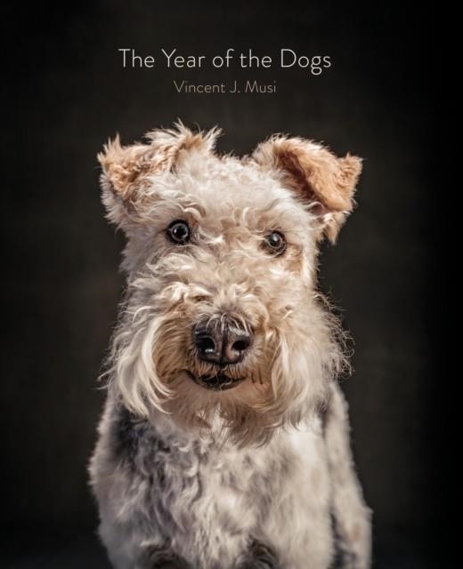 THE YEAR OF THE DOGS | 9781452181929 | VINCENT J MUSI