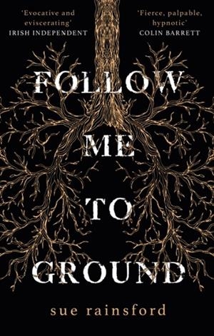 FOLLOW ME TO GROUND | 9781784164942 | SUE RAINSFORD