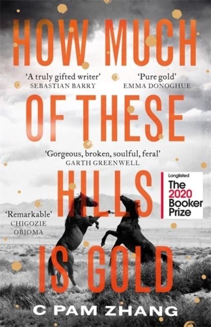 HOW MUCH OF THESE HILLS IS GOLD | 9780349011479 | C PAM ZHANG