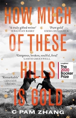 HOW MUCH OF THESE HILLS IS GOLD | 9780349011479 | C PAM ZHANG