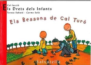 ELS BESSONS DE CAL TURÓ | 9788484121817