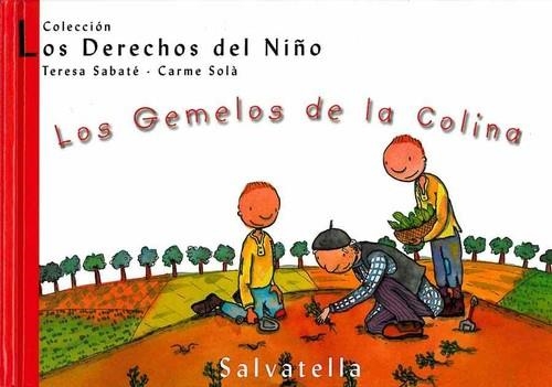 LOS GEMELOS DE LA COLINA | 9788484121916