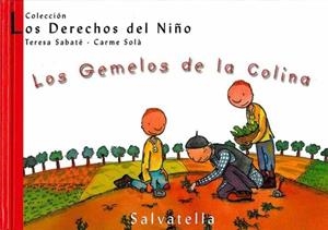 LOS GEMELOS DE LA COLINA | 9788484121916