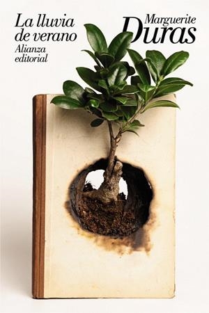 LA LLUVIA DE VERANO | 9788491814962