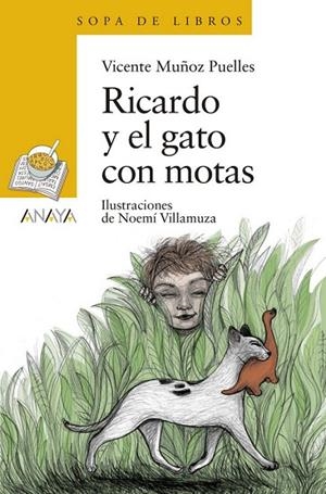 RICARDO Y EL GATO CON MOTAS | 9788469848272 | VICENTE MUÑOZ PUELLES