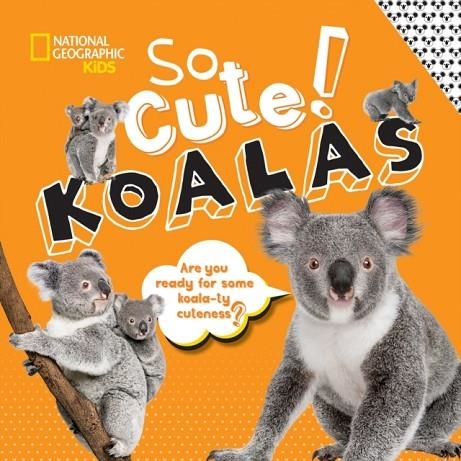 SO CUTE! KOALAS | 9781426335273 | NGK