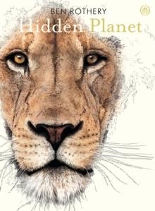 HIDDEN PLANET : AN ILLUSTRATOR'S LOVE LETTER TO PLANET EARTH | 9780241361016 | BEN ROTHERY