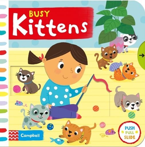 BUSY KITTENS | 9781529024401 | CAMPBELL BOOKS