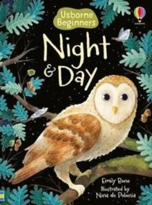 NIGHT AND DAY | 9781474979399 | EMILY BONE