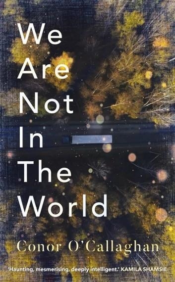 WE ARE NOT IN THE WORLD | 9781781620533 | CONOR O´ CALLAGHAN