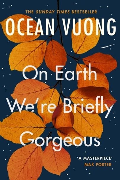 ON EARTH WE'RE BRIEFLY GORGEOUS | 9781529110685 | OCEAN VUONG