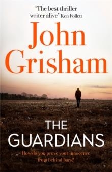 THE GUARDIANS : THE EXPLOSIVE NEW THRILLER FROM INTERNATIONAL BESTSELLER JOHN GRISHAM | 9781473684607 | JOHN GRISHAM