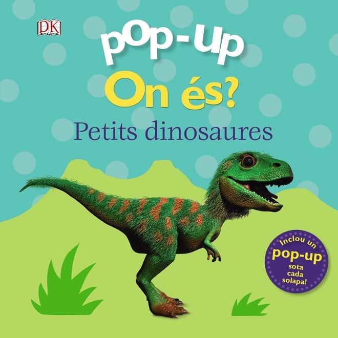 POP-UP. ON ÉS? ELS DINOSAURES | 9788499063270 | CLARE LLOYD