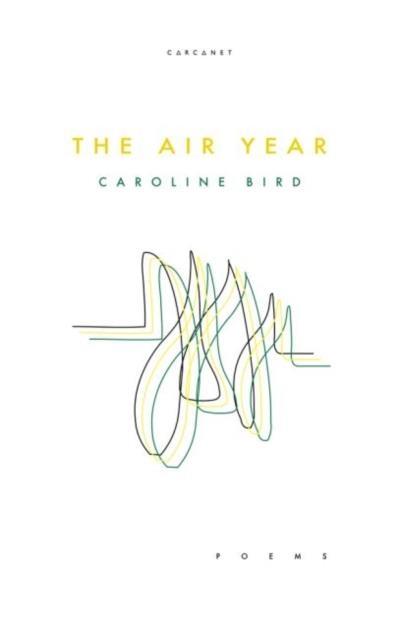 THE AIR YEAR | 9781784109028 | CAROLINE BIRD